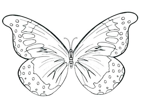 One of the most simple insect to color for your children. Cute Butterfly Coloring Pages at GetColorings.com | Free ...