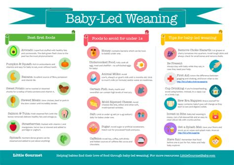 The following list of baby food containers is confirmed to be made of safer materials. The Magic List of Baby-Led Weaning Foods [INFOGRAPHIC ...