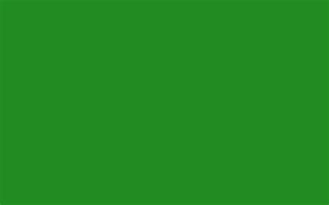Green Screen Solid Color Green Screen Zoom Virtual Background Images