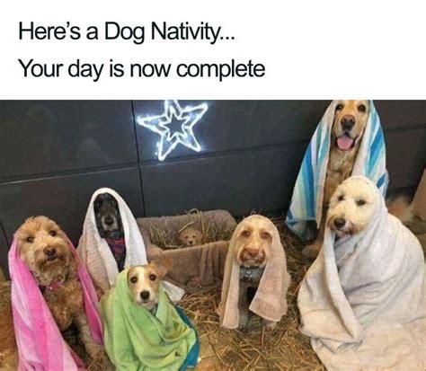 Absolutely Hilarious Christmas Memes