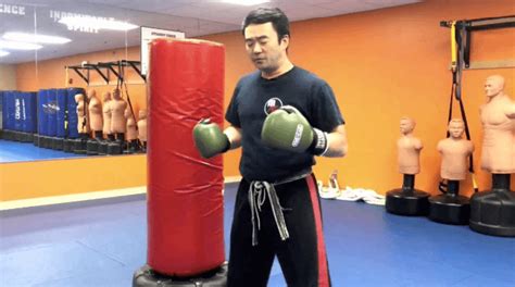 Training Guide Free Standing Punching Bag Workouts For