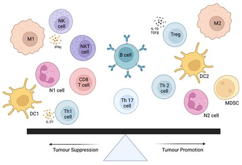 Cancers Free Full Text Comparative Evaluation Of Tumor Infiltrating