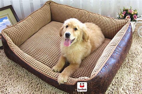 Shop for memory foam dog beds online at target. #Spotbeds Extra Large Orthopedic Memory Foam Pet Dog Bed ...