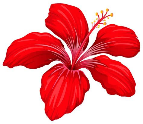Red rose flower top view png image. Exotic Red Flower PNG Image | Gallery Yopriceville - High ...