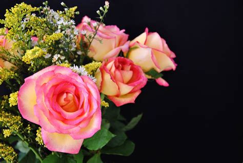 Download Beautiful Screensaver Of Roses Flower