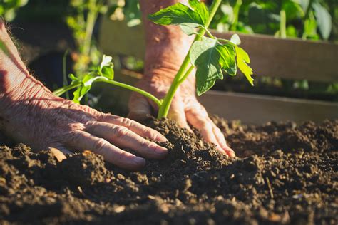 The Secrets To Healthy Soil Kellogg Garden Organics™