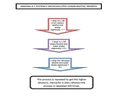 Basic Principles In Homeopathic Practice Globinmed