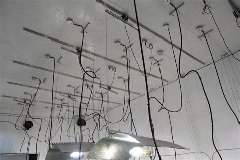 Modern led lights are known for optimal power consumption or other such information; Hydroponic Grow Light Coverage Hydro Scripts - GROZINEGROZINE