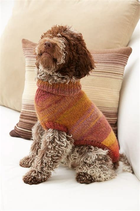 Proud Puppy Dog Sweater Pattern Knit Dog Sweater Pattern Knitting