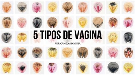 Conoce Los Diferentes Tipos De Vaginas Que Existen En Todo El Mundo