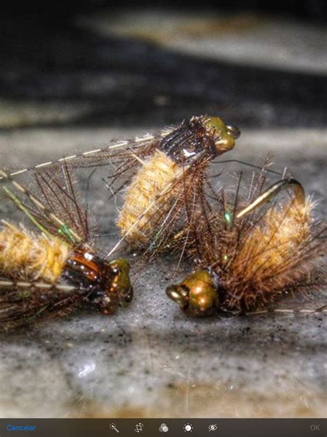 Click on the picture or fly name for a link to a fly pattern sheet with pictures and tying directions. Pupa de caddis | Fly tying patterns, Fly fishing flies ...