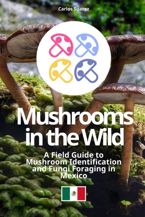 Mushrooms In The Wild A Field Guide To Mushroom Identification And