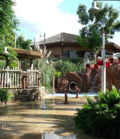 Jambo House Vs Kidani Village At Disneys Animal Kingdom Lodge The