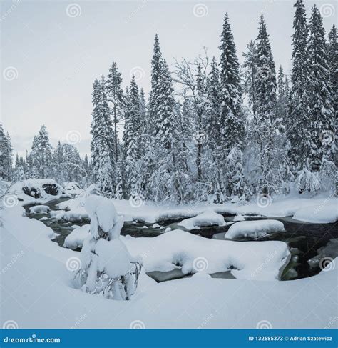 Deep Fresh Snow In Norwegian Forest Boreal Landscapes In Winter Stock