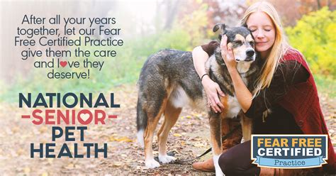 There's no doubt that our pets become can become our most important companions. National-Senior-Pet-Health-Month | Fear Free Pets