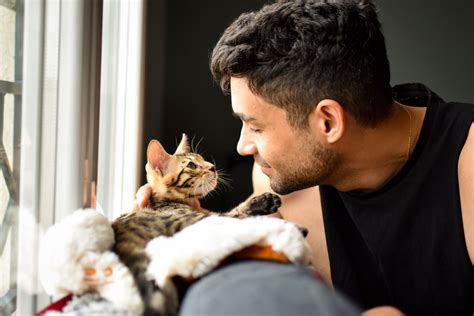 do cats have a favorite person [answered] thecatsite