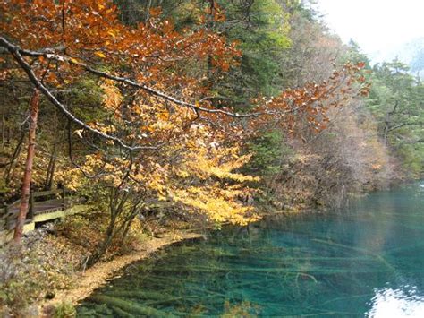 Jiuzhaigou Natural Reserve Jiuzhaigou County 2019 All You Need To