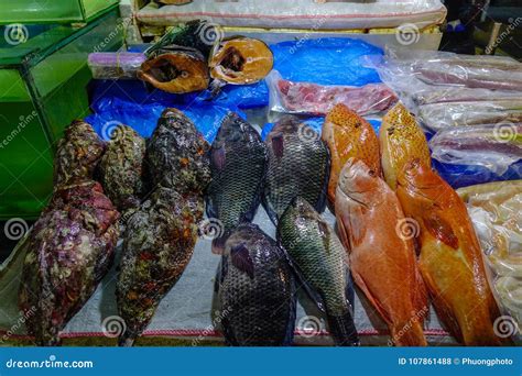 Fish Market In Manila Philippines Stock Photo Image Of Building