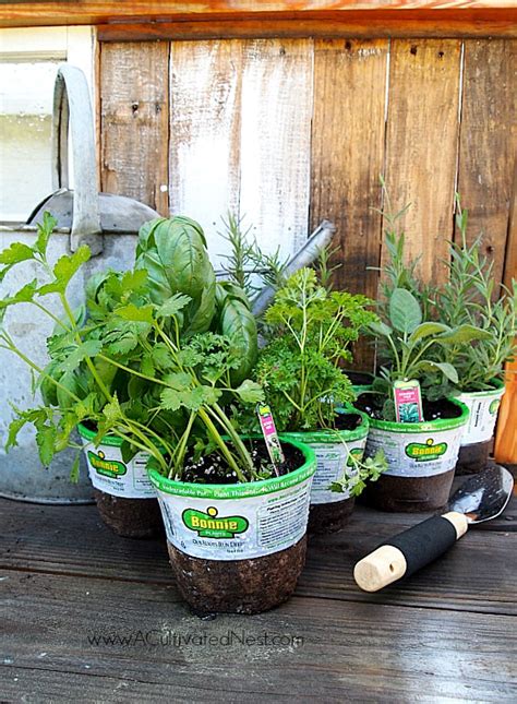 Tips For Planting A Container Herb Garden