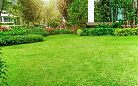 We are the premiere lawn, tree, and landscaping company proudly locally owned and operated in the greater fort worth, tx area. Sunday Lawn Care Review - American Homeowners Association