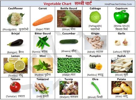 List Of All Indian Vegetables Names With Pictures Yiji Info