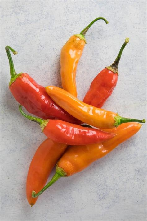 Aji Amarillo Sauce Recipe Chili Pepper Madness Recetas