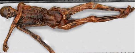 Us Paleoartist Presents Ötzi Mummy Replica At Bolzano Museum
