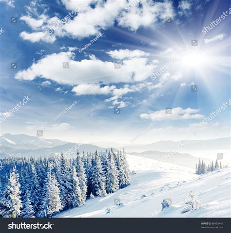 Beautiful Winter Landscape With Snow Covered Trees Stock