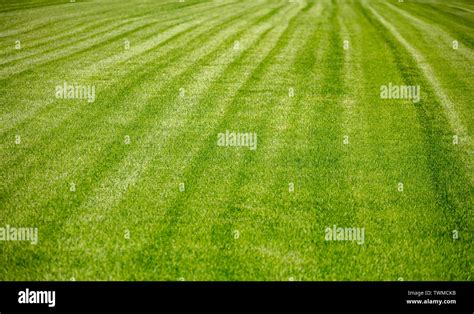 Striped Lawn Hi Res Stock Photography And Images Alamy