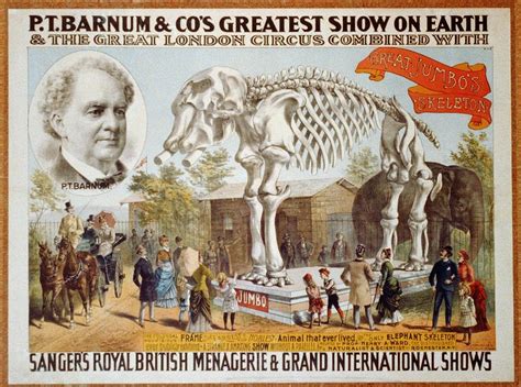 Poster For Pt Barnum And Circus Photograph By Everett Fine Art America