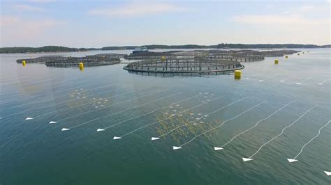 The Future Of Ocean Farming Innovations In Aquaculture Youtube