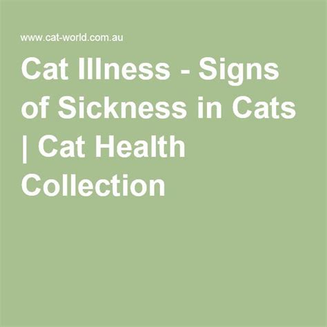 Cat Illness Signs Of Sickness In Cats Cat Health Collection Cat