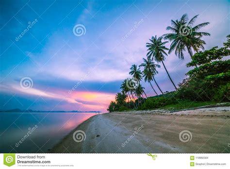 Beautiful Tropical Beach And Sea With Coconut Palm Tree At Sunrise Time