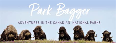 Park Bagger Adventures In The Canadian National Parks Canadian Park