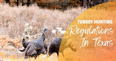 Texas Turkey Hunting Regulations When Does The Turkey Season Start In