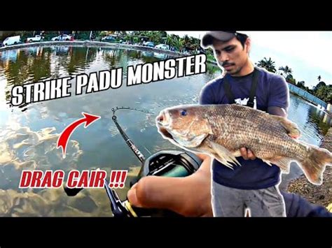 Model filter di atas kolam renang model dan sistem penyaringan kolam ikan koi ini, ditempatkan di atas kolam, bisa vertikal, horizontal atau diagonal. Casting Ikan Kolam Air Masin Menggunakan SoftPlastic ...