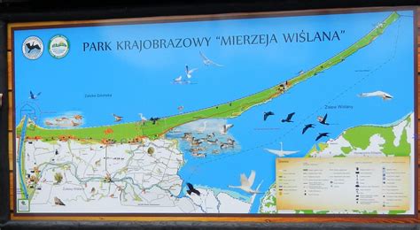 Learn how to create your own. mierzeja wiślana - park | Zabytki, Obrazy
