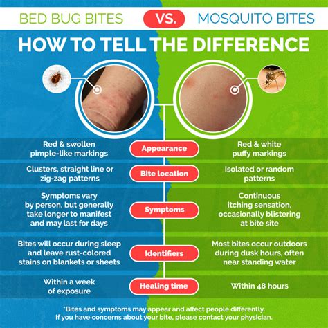 Cómo Distinguir Las Picaduras De Chinches De Las Picaduras De Mosquitos