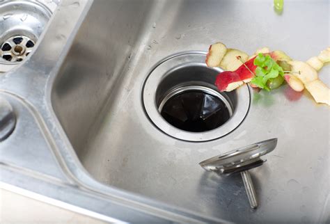Run the disposal each time you put food in it to reduce corrosion from food acid. Garbage Disposal Tips | Electric Rooter Plumbers