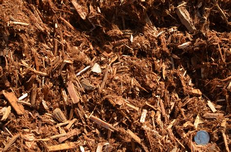 Western Red Cedar Mulch Minnesota Mulch Magnuson Sod