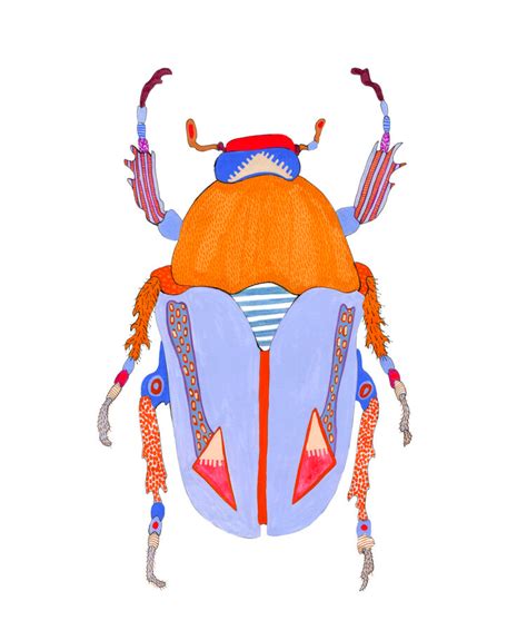 Shop — Caroline Kaufman Studio Copic Drawings Art Drawings Bug Art