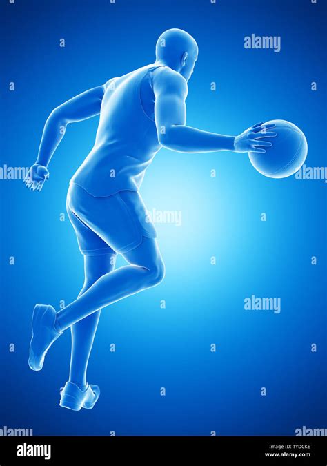 3d Rendered Medically Accurate Illustration Of A Basketball Player