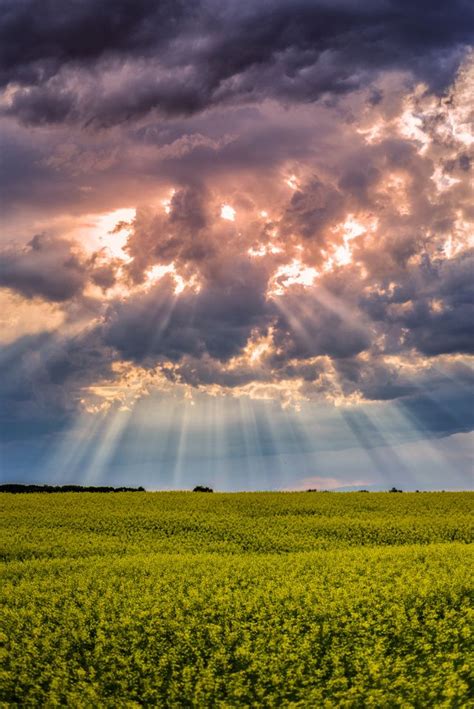 The Sun Shines Through Clouds Over A Green Field
