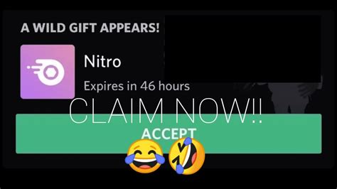 Discord Nitro T Link Troll Norrusaq