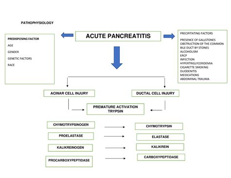 Acute Pancreatitis Pathophysiology Pathophysiology Acute