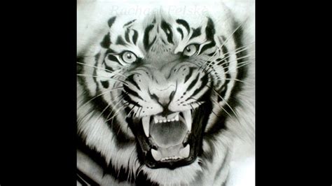 How To Draw Siberian Tiger Face Drawing Step By Step Youtube