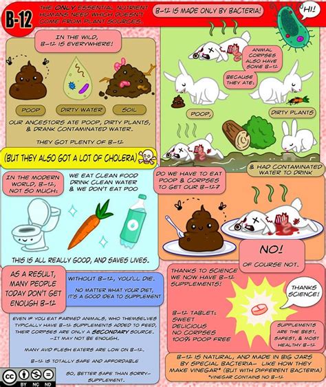 What foods are high in b12? Here's your periodic reminder to take b12! (And a Concise ...