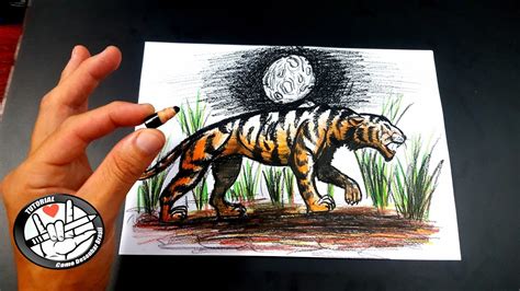 Como Desenhar Um Tigre YouTube