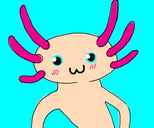 An axolotl is an aquatic salamander related to tiger salamanders. Cute axolotl - Drawception