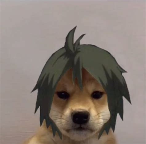 Yamaguchi Dog Haikyuu Anime Dog Icon Dog Pfp